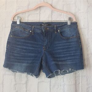 MAX JEANS Mid Rise Denim Shorts Frayed Hem 12